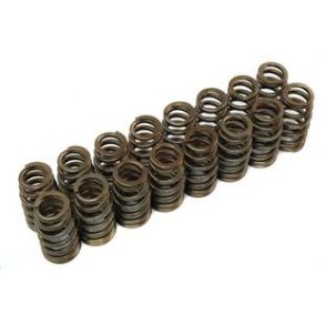 Cosworth Ventilfjeder st SR20DET