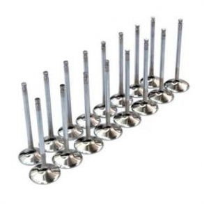 Cosworth EVO Ventiler indsugning 8 stk 